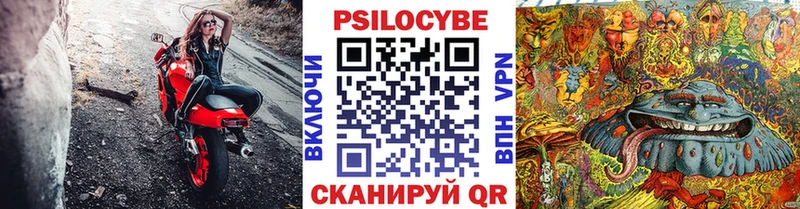 Галлюциногенные грибы Psilocybine cubensis Фёдоровский