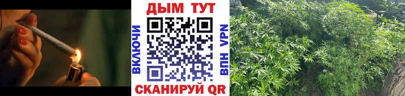 магазин    Фёдоровский  Каннабис марихуана 